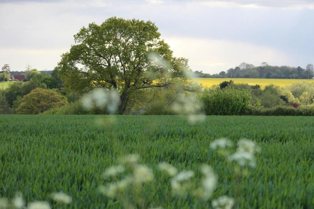 Lovely 3 Bedroom House In The Centre Of Lavenham Esterno foto